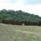 Boyscout Camp, 5 May 2007