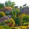 Palm Desert
