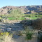 Palm Desert