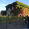Ristorante Tra Vigne durante le riprese