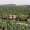 Napa Valley - California - USA
