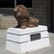 Kerman High School Mascot