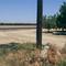 Farmland along the San Joaquin Valley Railroad (View Northeasterly)