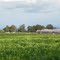Green Fields, Spring 2009
