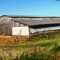Clovis Barns