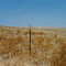 Outside Fresno - USA