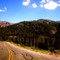 Going Downhill From Sonora Pass 8-8-2008