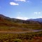 Hwy 108 Next To Walker River 8-8-2008