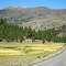 Towards Sonora Pass