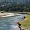 The Walker River at Leavitt Meadow