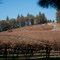 Sierra Vista Winery