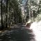 Starks Grade, Pollock Pines, CA