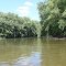 Apple River Confluence with Mississippi in "Brickhouse Slough"
