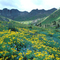 American Basin