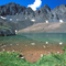American Basin
