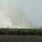 South Louisiana Sugarcane Harvest