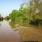 TIGER DRIVE BRIDGE
