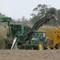 Harvesting sugar cane