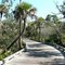 Raptor Bay GC, Causeway to Starter