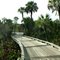 The Colony GC, Causeway between 11 and 12