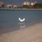 Fort Myers, Florida, USA