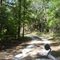 Cross Florida Greenway