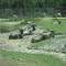 Lion Country Safari