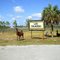 Lion Country Safari Park