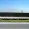 Cane fields near Twenty Mile Bend