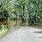 Lion Country Safari after Tropical Storm Isaac