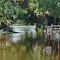 Lion Country Safari after Tropical Storm Isaac