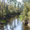 Peace River Old Bartow Road