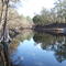 White Springs State Park