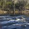Little Shoals on the Suwannee River