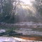 Smokey Suwannee River, Florida