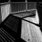 Lined Shadows