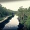 The Suwannee River