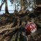 lost crab trap bouy