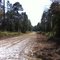 Fire Road