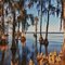 Cypress Trees at Davis Landing