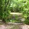 Bayard Conservation Area Trail