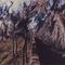 Ft. St. Philip - Vella-Ashby  1988