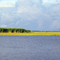 VeniceMarsh-Sep.12,2006