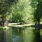 Darby Spring Run