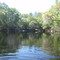 The River Rise