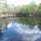 The Santa Fe River Sink