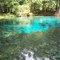 Ginnie Springs