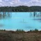 wastelake