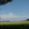 View of field (private property) from Palomino Trail