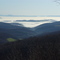 Noon Fog
